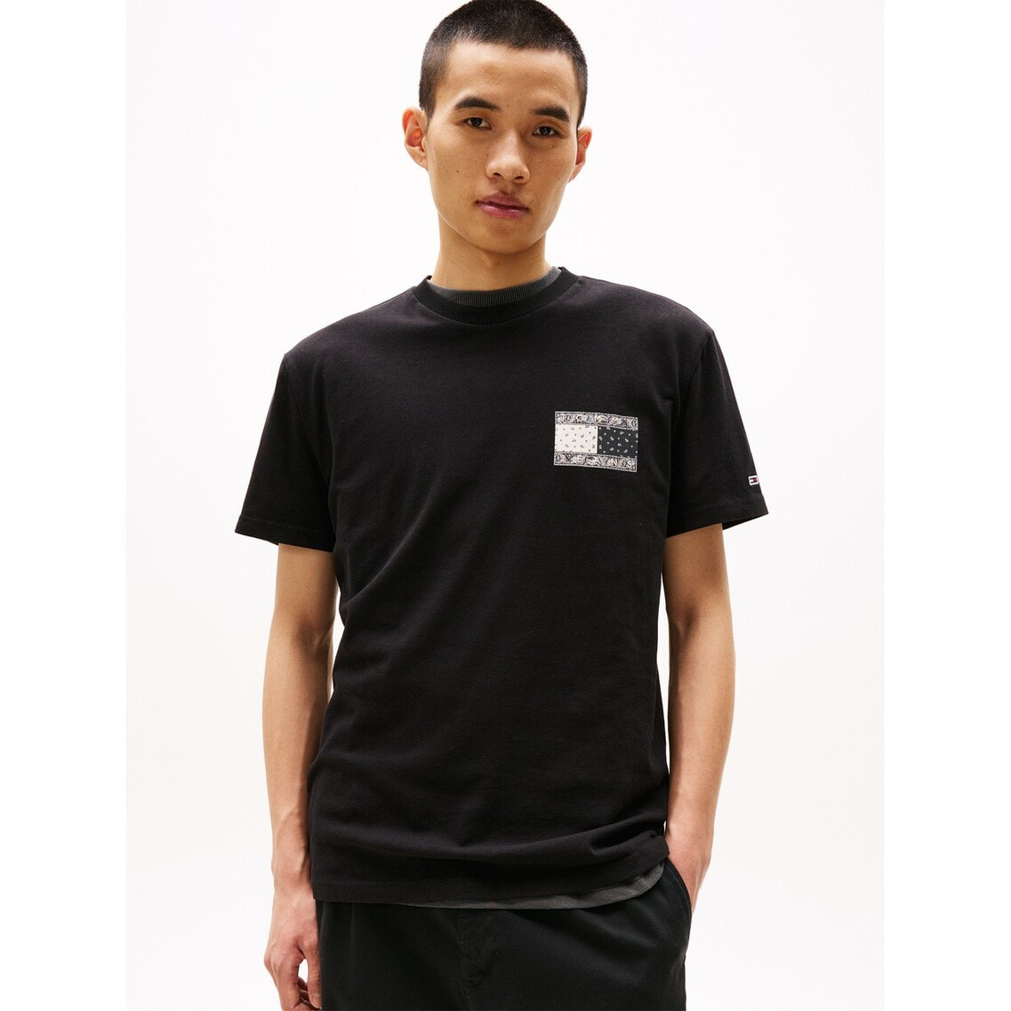 2点でさらに10％OFF】レギュラーペイズリーフラッグTシャツ