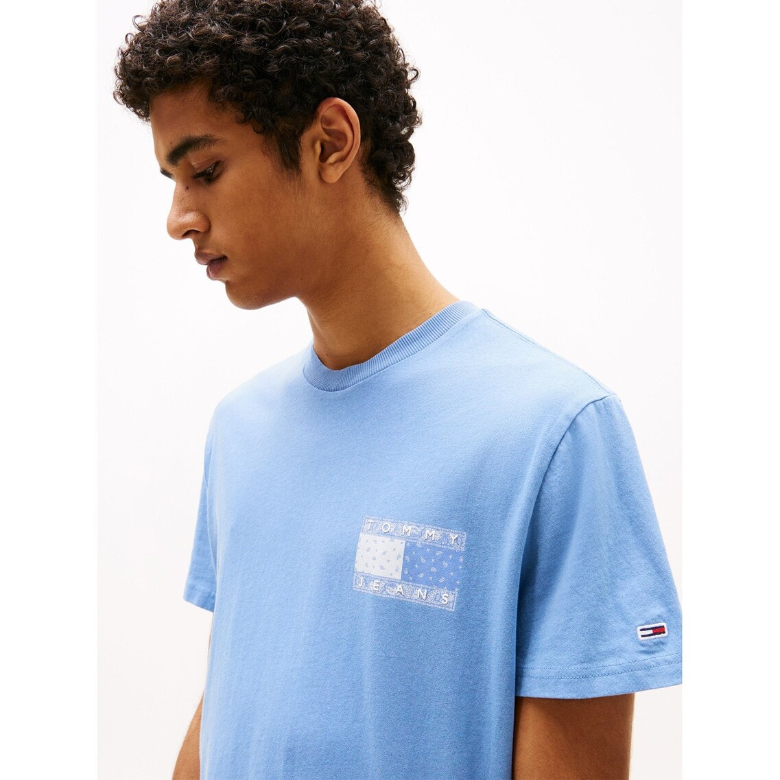 トミー ヒルフィガー ペイズリーフラッグバックプリントTシャツ TOMMY HILFIGER トミー ヒルフィガー TJM ペイズリーフラッグ