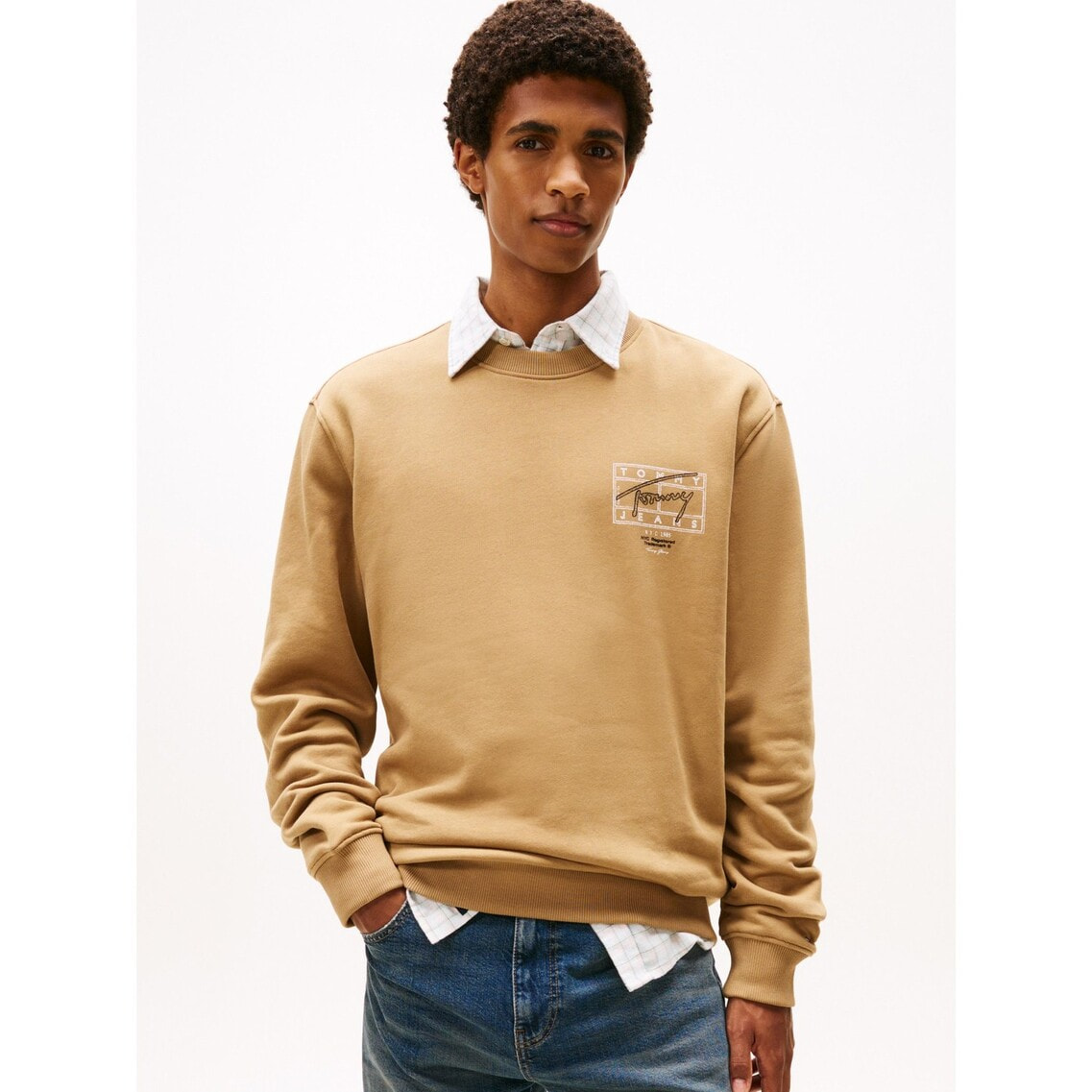 レギュラーエントリープレイクルーネックスウェットシャツ | トミー