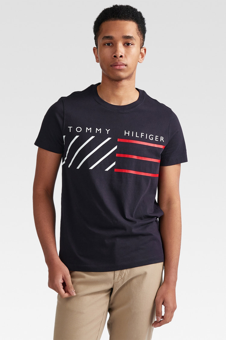 激安店舗 TommyTシャツ econet.bi