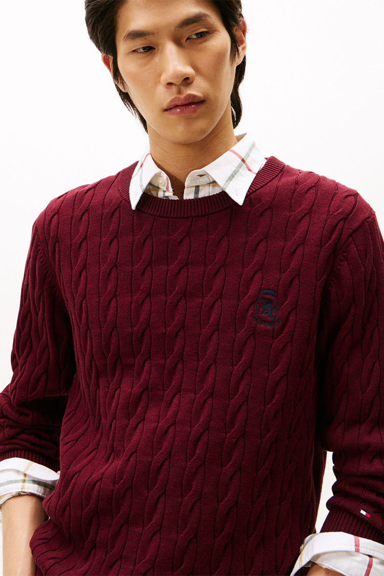 ニットウェア | ウェア | メンズ | トミー ヒルフィガー 公式