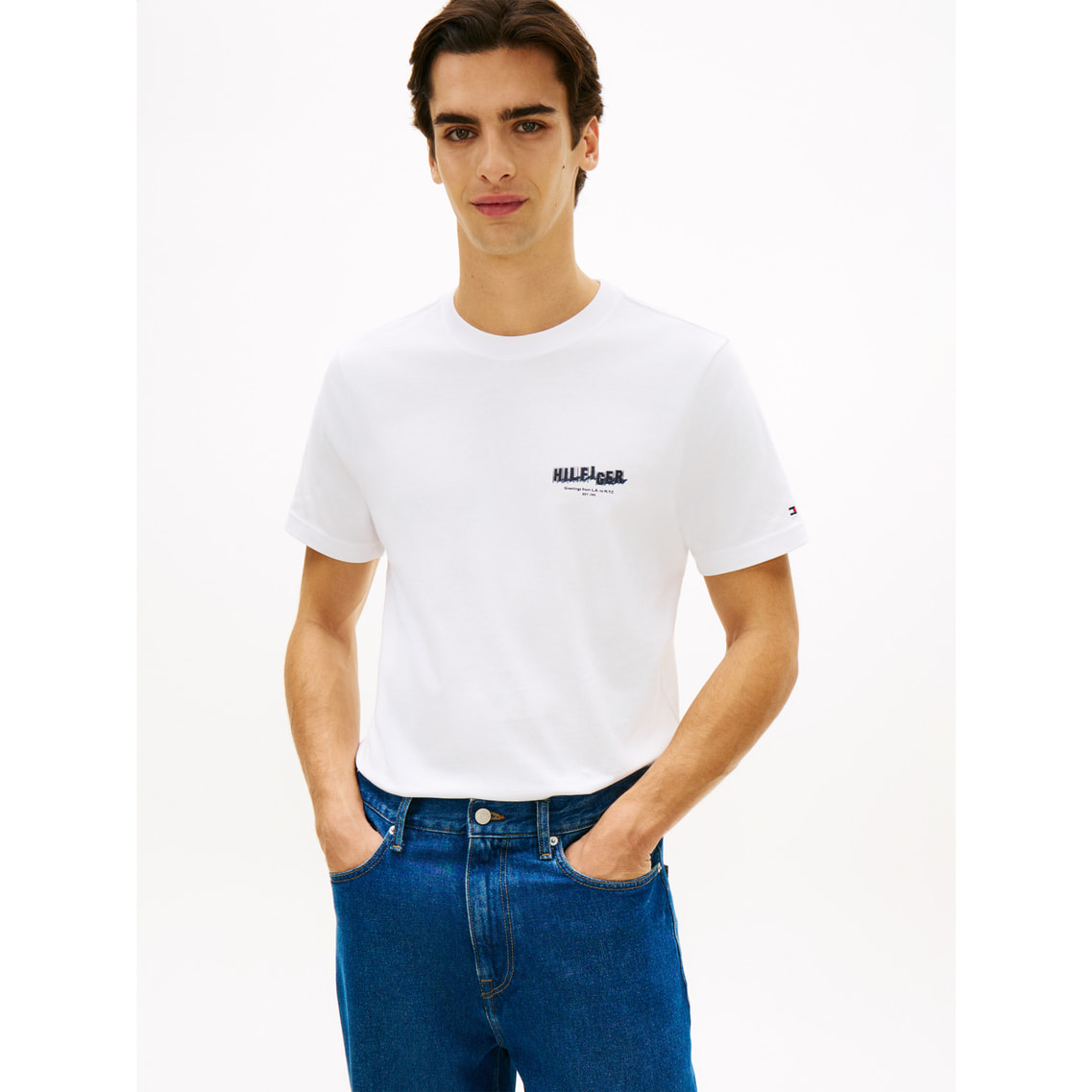 2点でさらに10％ off】フォトプリントヒルフィガーTシャツ | トミー