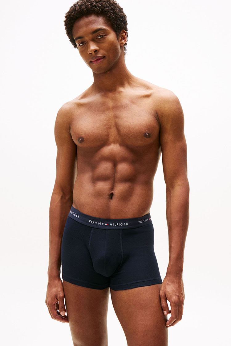 TOMMY HILFIGER(トミーヒルフィガー)ミドルボクサーパンツ 4枚セット ボーナスパック メンズ 09TE025 (408)BLUE_GRAPHIT XL TOMMY HILFIGER - 海外限定品Tommy Hilfiger ボクサーパンツ 3枚